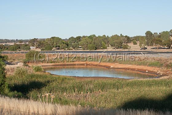 IMG_6343.jpg - The local sewage works !